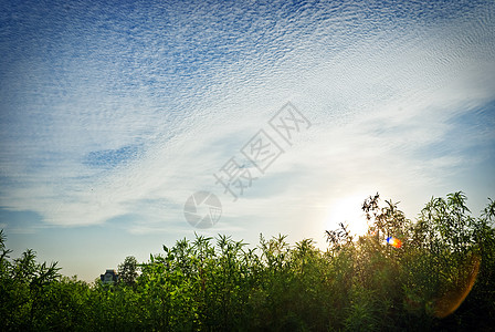 下日晒活力天气黄色季节牧场太阳生活日落乡村天空图片