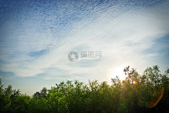 下日晒活力天气黄色季节牧场太阳生活日落乡村天空图片