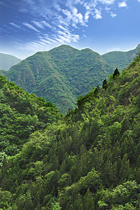 山白云环境天空树木蓝天山脉日景绿色晴天环保图片
