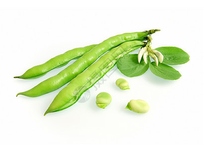 大豆烹饪食物水果蔬菜场地维生素饮食生产营养美食图片