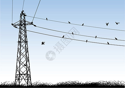 高电电金工程项目鸟类电话电缆框架工业力量工作金属图片