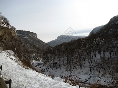 峡谷 冬季;峡谷 木材 雪;救济图片