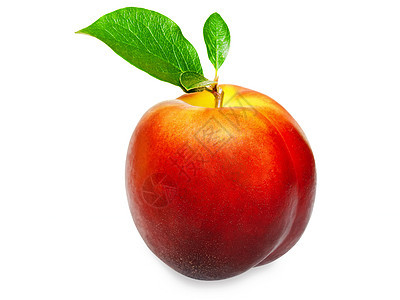 水果果小吃饮食甜点叶子热带油桃白色农业红色茶点图片