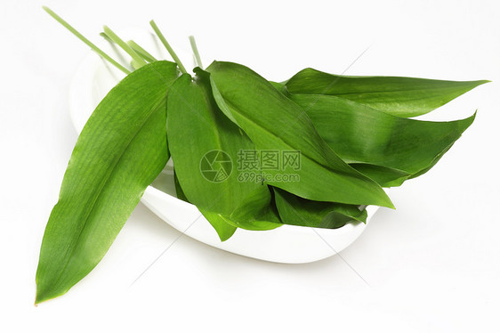 熊大蒜植物绿色健康工作室蔬菜草本植物食物白色草本香料图片
