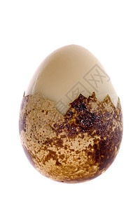 Quail 的鸡蛋孤立农场宏观鹌鹑美味早餐食物营养食品椭圆体雀斑图片