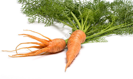 胡萝卜收成食品维生素饮食产品小吃植物绿色食物红色图片