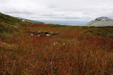 诺雷弗杰尔山中的沼泽苔原天空石头小路荒野岩石高原苔藓山脉高地图片