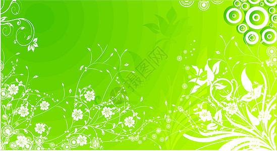 绿色背景的白花装饰品图片