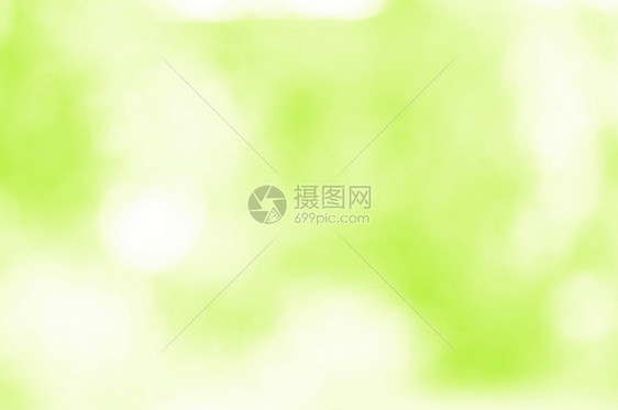 绿色 bokeh 背景墙纸生态图片