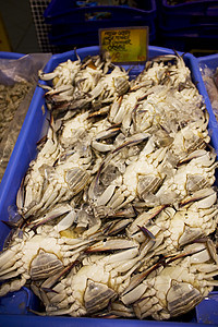 供出售的新鲜海产食品销售美食营养零售零售业对虾市场螃蟹海鲜食物图片