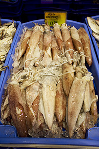 供出售的新鲜海产食品食物鱿鱼营养对虾海洋美食零售销售市场海鲜图片