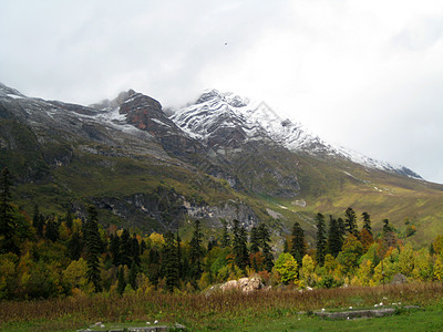 山山脉风景山脊文件全景斜坡树木木头山丘空地旅游图片