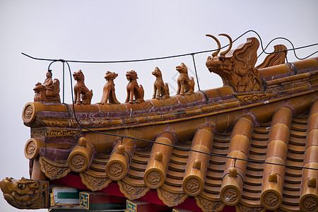 北京紫禁城 屋顶的细节图片