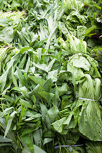 出售蔬菜销售草本植物零售零售业沙拉食物农业糖类味道绿色图片