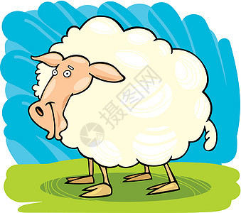 农场动物 羊羊图片