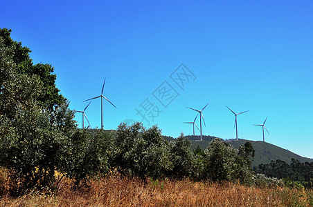 风力发电机的风景天气涡轮公园生态微风技术电气蓝色涡轮机图片