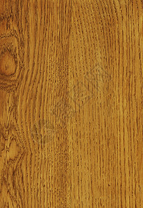 木制面板板宏观材料风格木头地板扫描木纹棕褐色橡木粮食图片