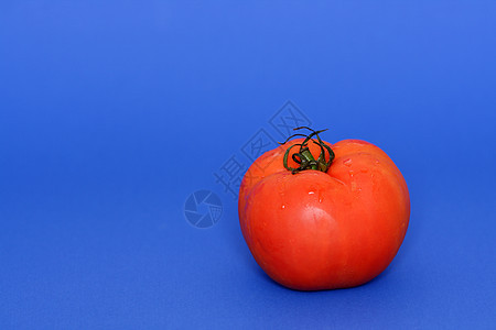 番茄蔬菜蓝色营养水果食物红色图片