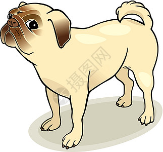 帕格哺乳动物耳朵尾巴绘画展览卡通片犬类爪子漫画插图图片