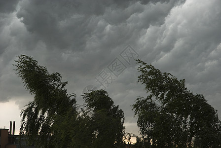 暴风雨前屋苑天气建筑植物群风暴多云天空树木黑色图片