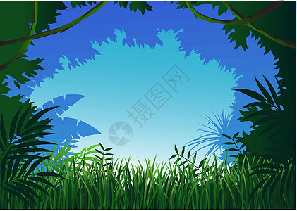森林背景植物太阳热带蝴蝶绿色蕨类插图阳光丛林野生动物图片