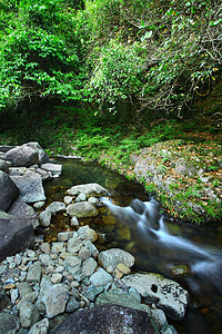 泉水阳光野生动物荒野旅行流动天堂晴天环境岩石公园图片