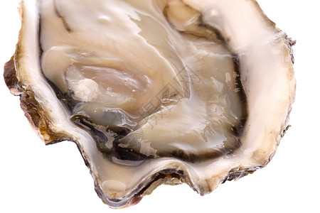 孤立的新鲜牡蛎海鲜营养宏观海洋小吃生蚝美食食物生产背景图片