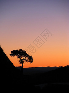 木柴天空高山植物群风景一条路线斜坡旅行山丘全景空地图片