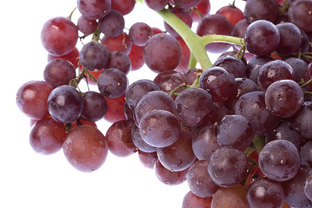 隔离紫色小吃食物宏观饮食农业营养水果红色生产图片