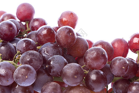 隔离饮食食物红色营养甜点农业小吃生产水果紫色图片