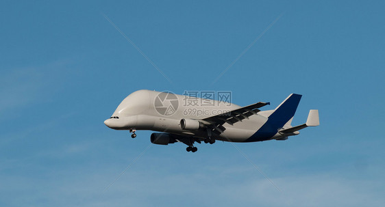 货运承运人运输白鲸空气飞机航班旅行翅膀航空天空喷射图片