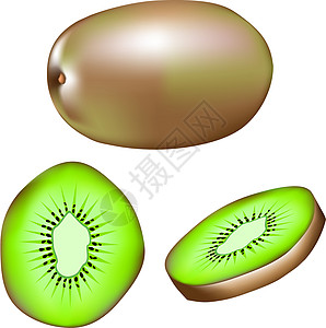 Kiwi 水果矢量插图图片