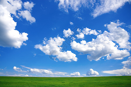 春景 - 绿地和蓝天空图片