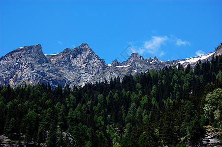 阿尔卑斯山夏季风景图片