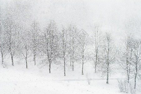 大雪降下痕迹建筑小路薄雾树木脚印降雪暴风雪运动花园图片