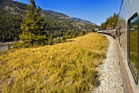 洛基斯火车旅行观光运输天空旅游树木风景山脉图片