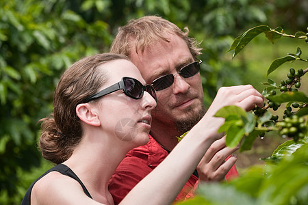 在哥斯达黎加咖啡种植园的美裔和欧洲情侣在哥斯达黎加男朋友森林生态山羊成人湿度种植园胡子妻子环境图片