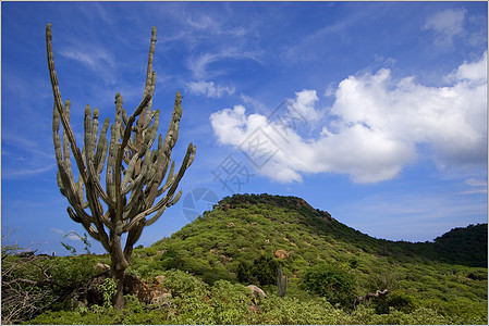 诸云和摇滚地平线蓝色环境风景美化天气场地天空季节阳光图片