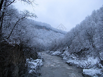 白河树木解脱山脉木头山丘全景旅游风景岩石旅行图片