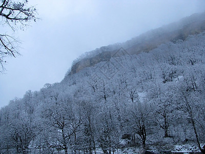 岩石旅游木头天空植物群植被风景白色山丘全景树木图片