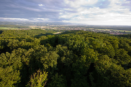 德国的黑人野兽 在佛赖堡附近树木场地爬坡旅行假期天空村庄蓝色植物丘陵图片