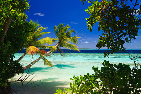 马尔代夫的热带天堂天空海浪棕榈美丽地平线太阳海景旅行阳光游客图片