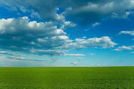 绿草和蓝天空天空风景场地绿色蓝色多云地球图片