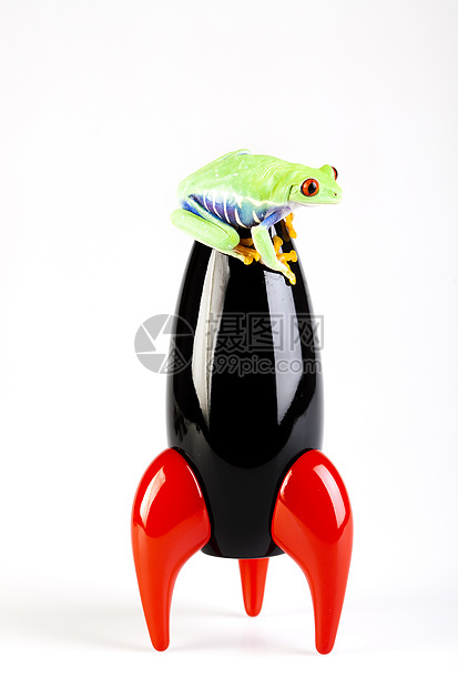 黑火箭和绿青蛙动物玩具红眼睛大眼睛蓝色眼睛雨蛙野生动物两栖倚靠图片