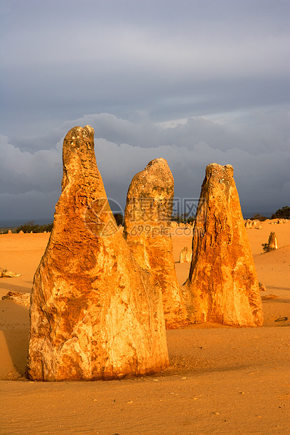 尖塔沙漠岩石队形风景地区旅行石峰矿物石灰石干旱图片