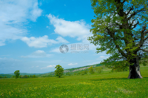 春季风景农村植物绿色草地国家天空环境季节乡村场地图片