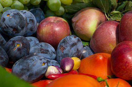 新鲜水果和蔬菜李子维生素花园农业饮食农作物胡椒食物保健卫生图片