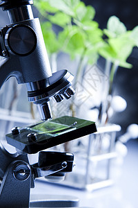 生态实验室实验杂草管子工程生长测试科学化学品玻璃蓝色图片