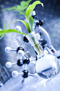 生态实验室实验试验微生物学植物群科学管子玻璃生物学学习技术化学品药品图片