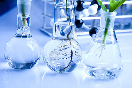 生态实验室实验试验技术杂草科学药品学习工程测试生物学生长化学品图片